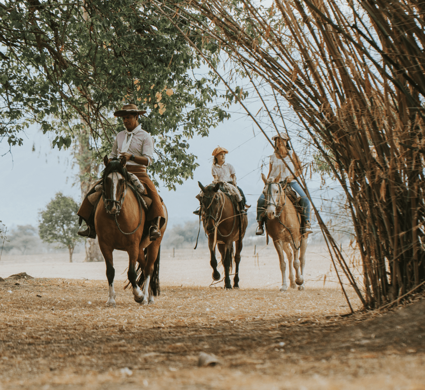 House of jasmines Argentine équitation