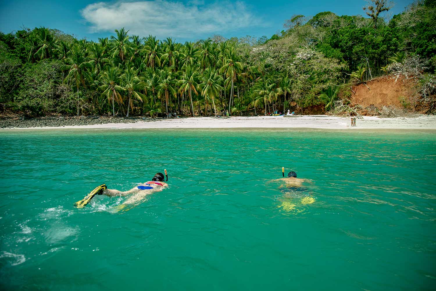 Isla Palenque Panama snorkling