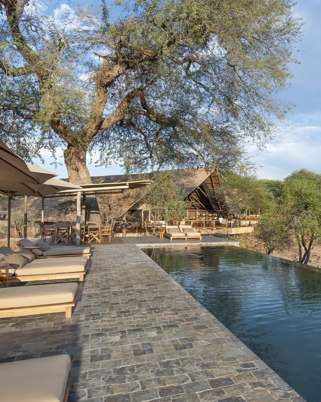 Jongomero Bush Manor Tanzanie piscine