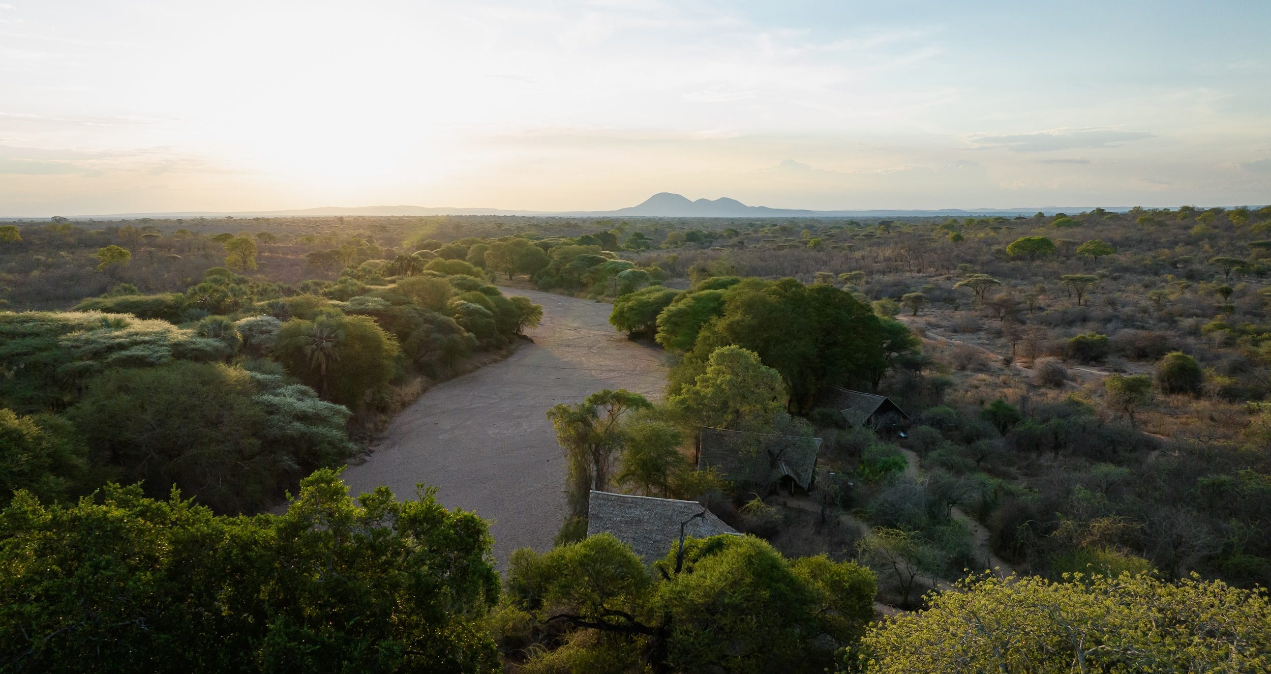 voyages safari tanzanie