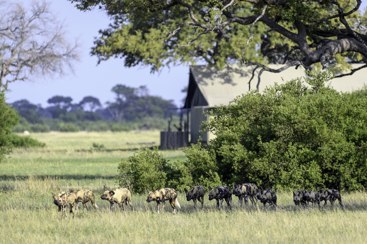 Linkwasha Zimbabwe lodge