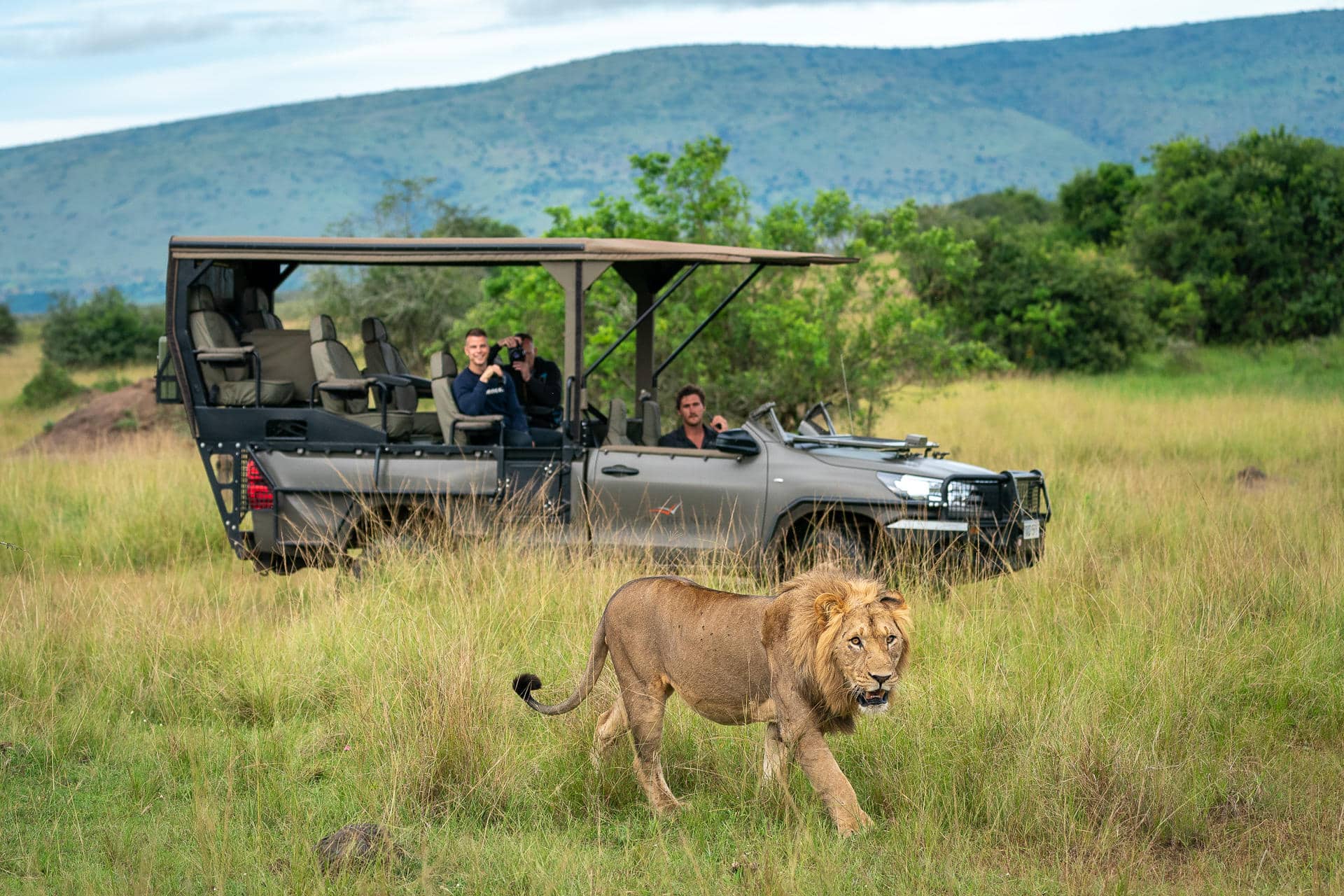 Magashi camp rwanda lion