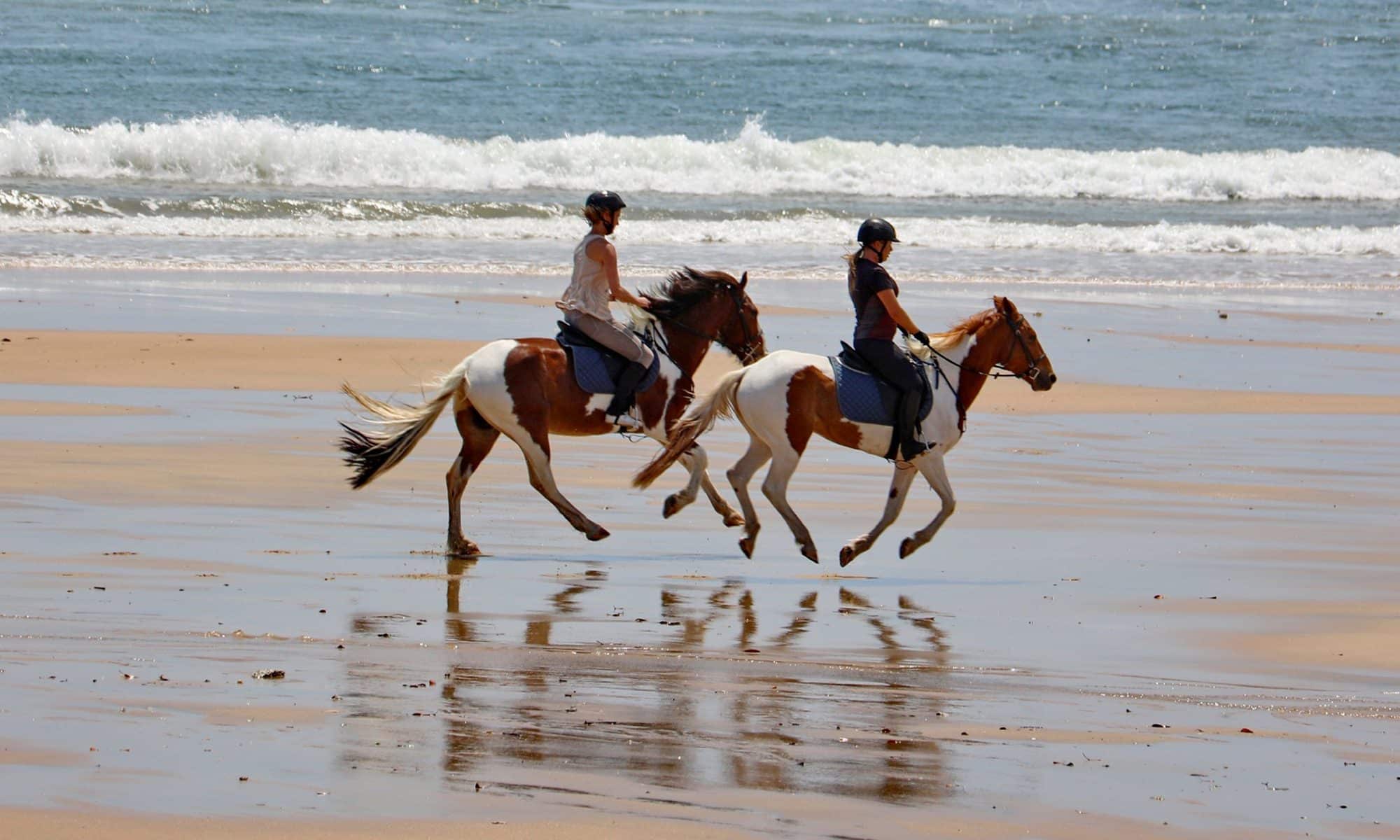 Mequfi beach resort mozambique chevaux plage