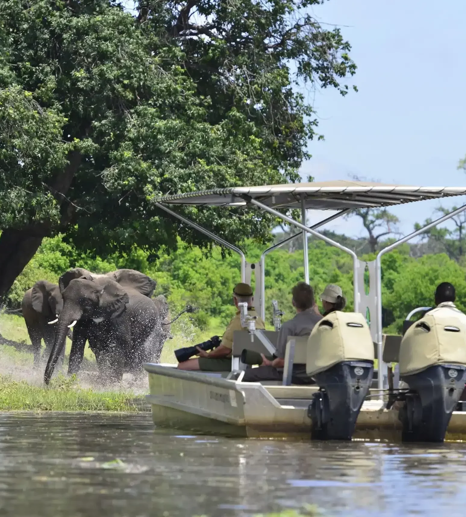 Observation des éléphants Zambezi Queen by Mantis Botswana