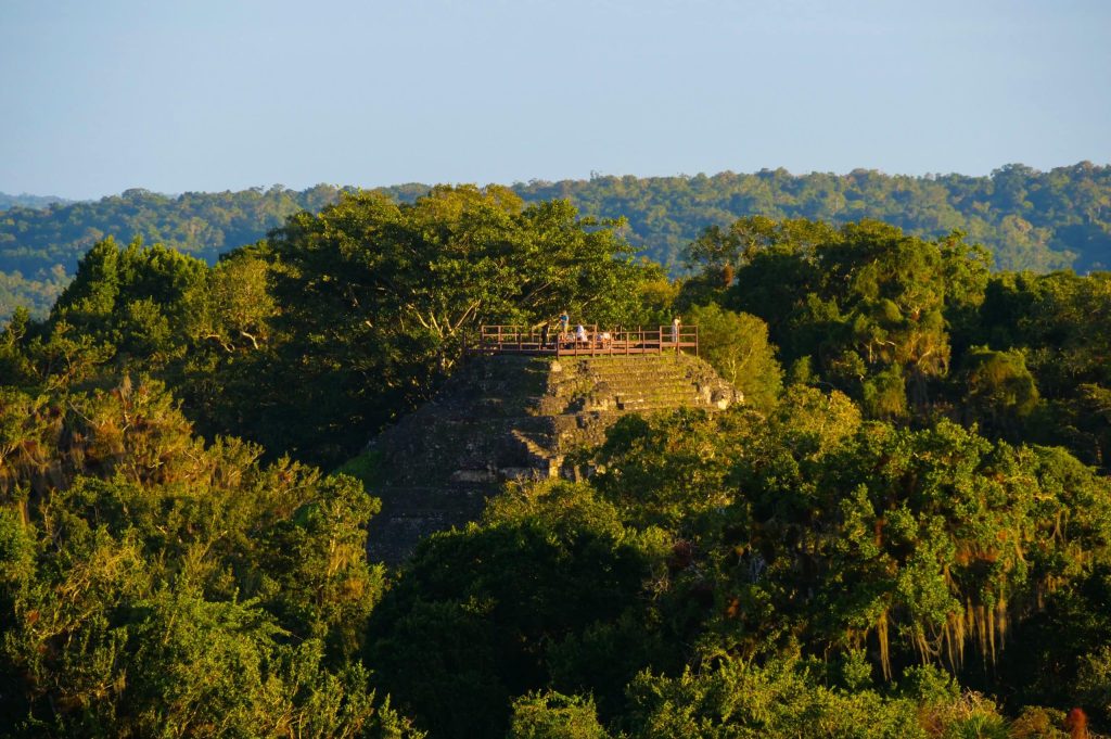 Panorama depuis des vestiges sur les traces du Monde Perdu de Tikal au Guatemala
