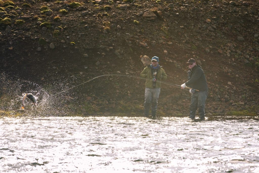Peche nordique islande pêche saut
