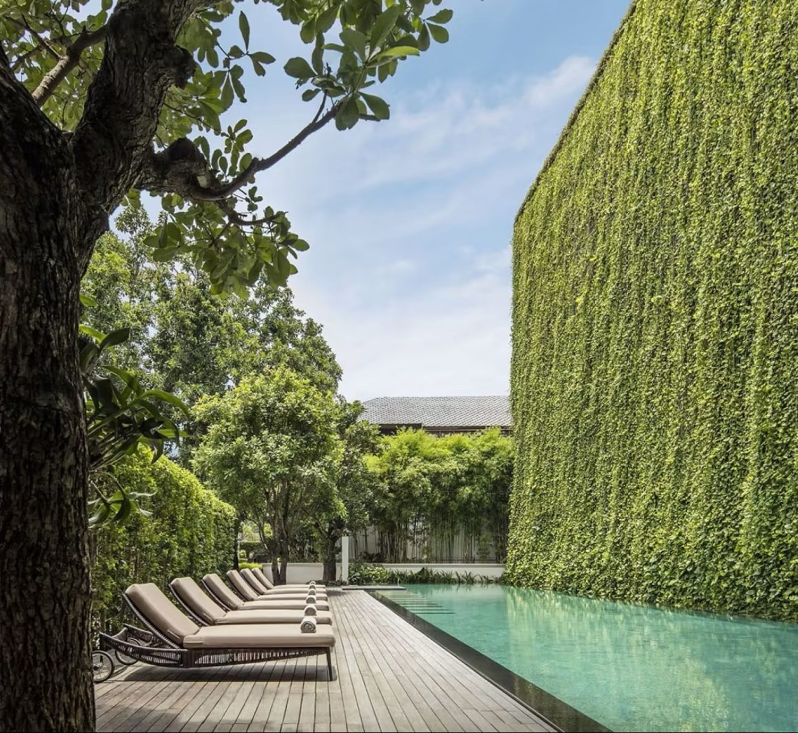 Piscine Pillars House Chiang Mai Thaïlande