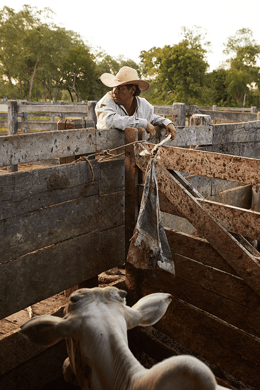 Refugio Caiman Ecologico cowboy