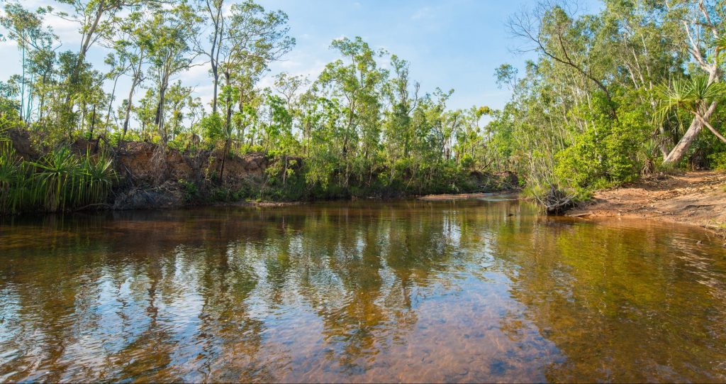 The,Scenery,View,Of,Mananggaymi,(scout,Camp),Camping,Area,In