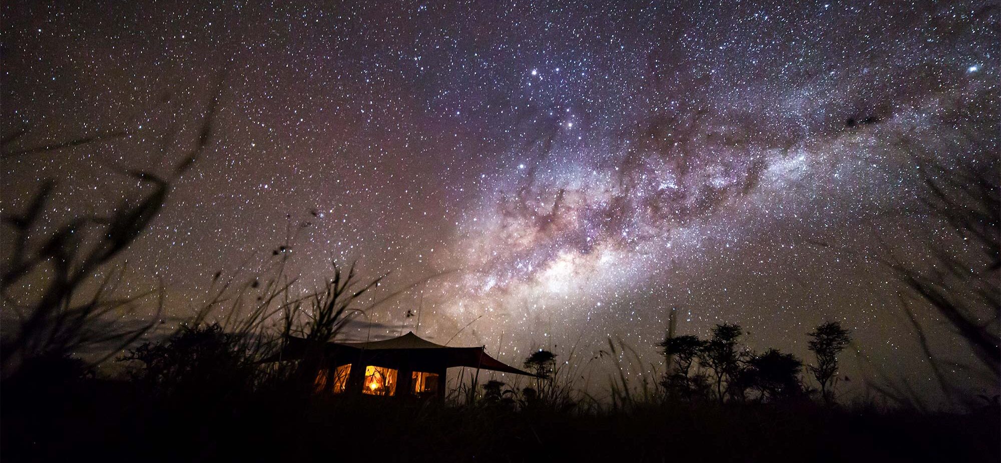 Roving Bushtops tanzanie camp de nuit