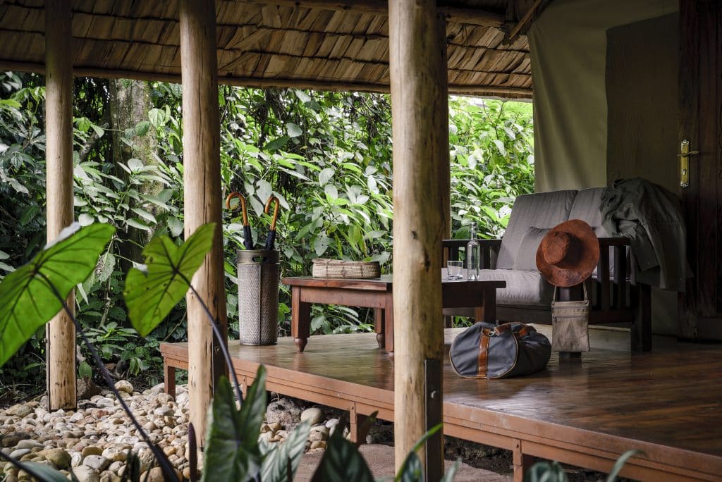 Uganda, Sanctuary Gorilla Forest Camp