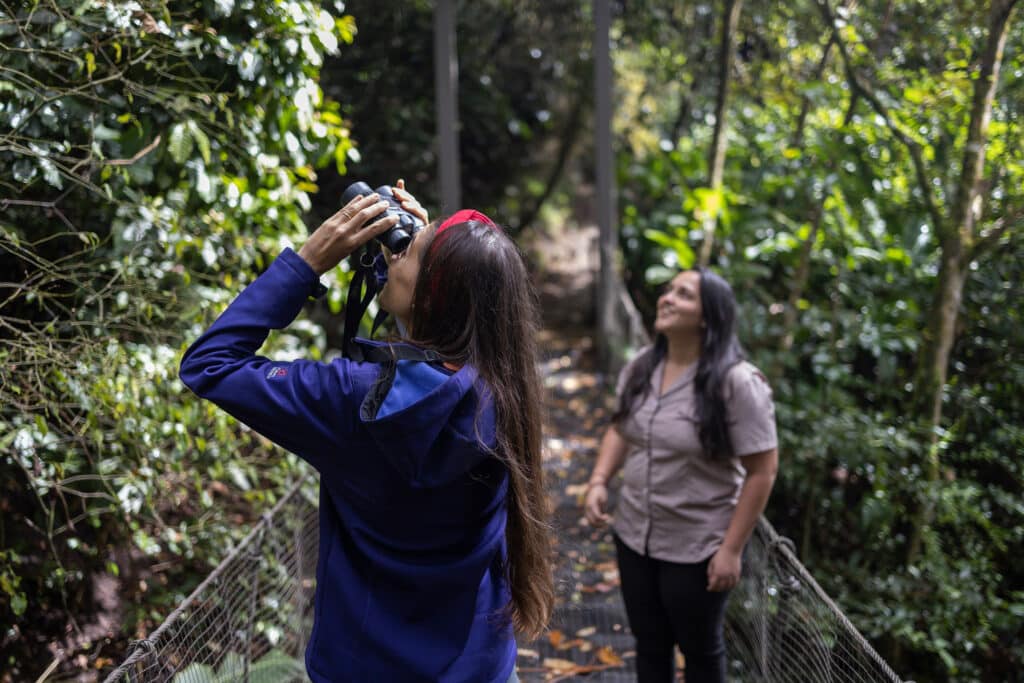 Senda monteverde costa rica observation oiseaux