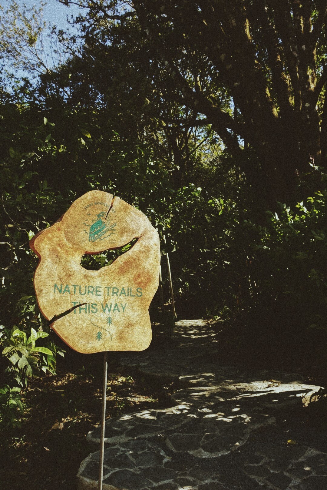 Senda monteverde costa rica trail
