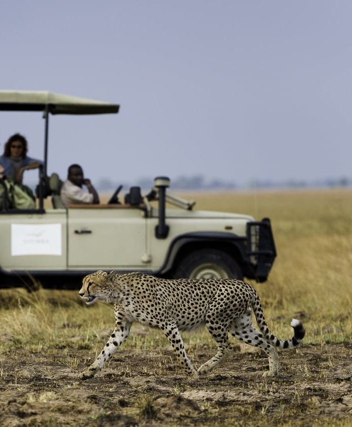 Shumba camp Zambie safari voiture