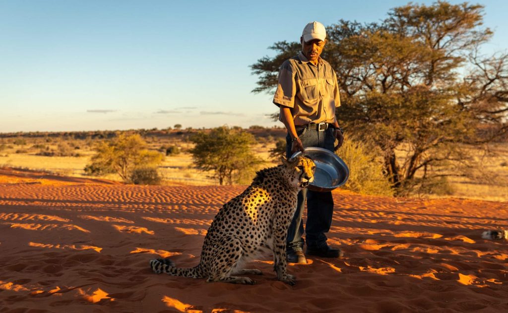 Kalahari,/,Namibia, ,July,09,2018:,African,Ranger,Man