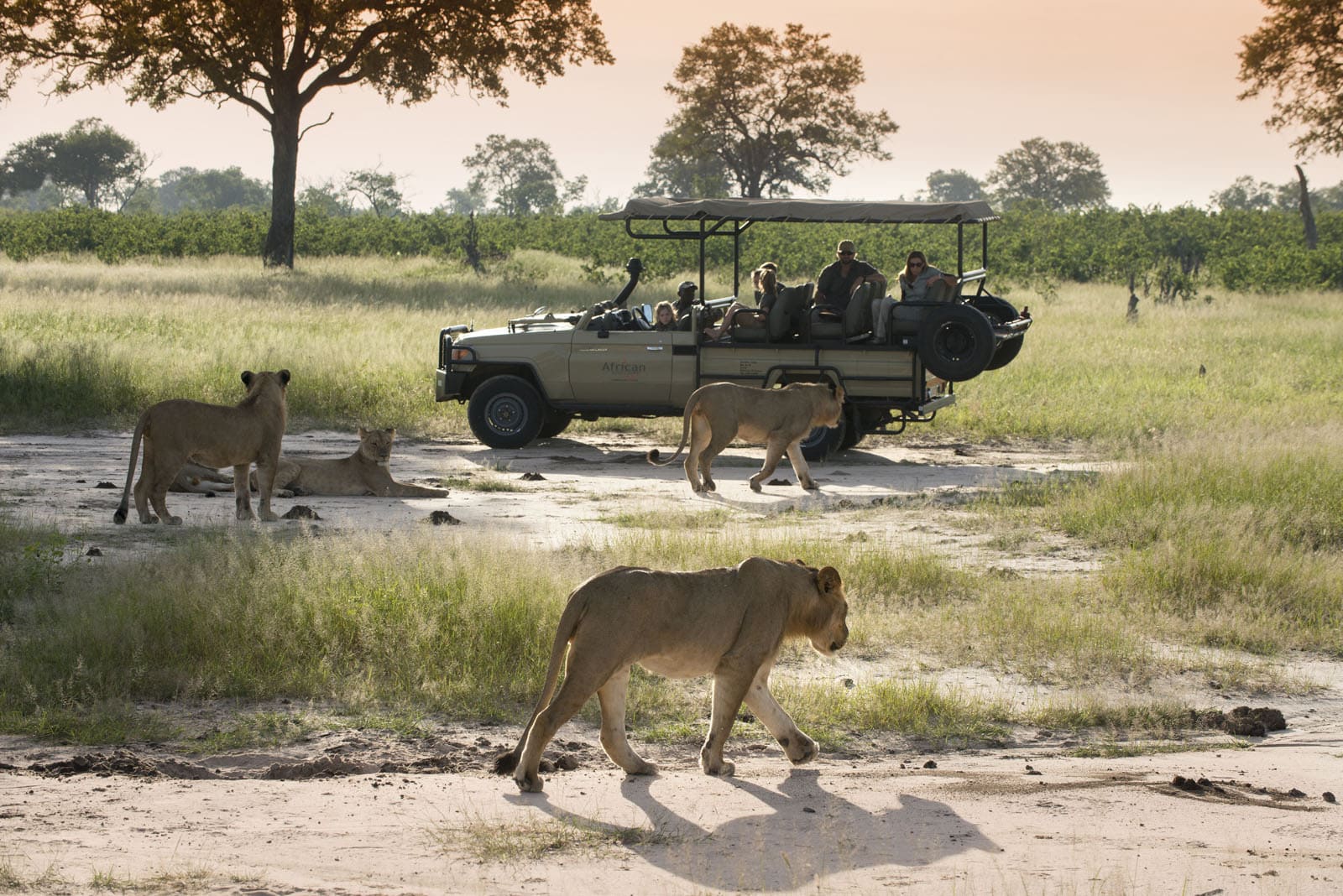 Somalisa Camp Hwange National Park Zimbabwe Luxury Safari Lodge African Bush Camps Game Drive 2 1 2
