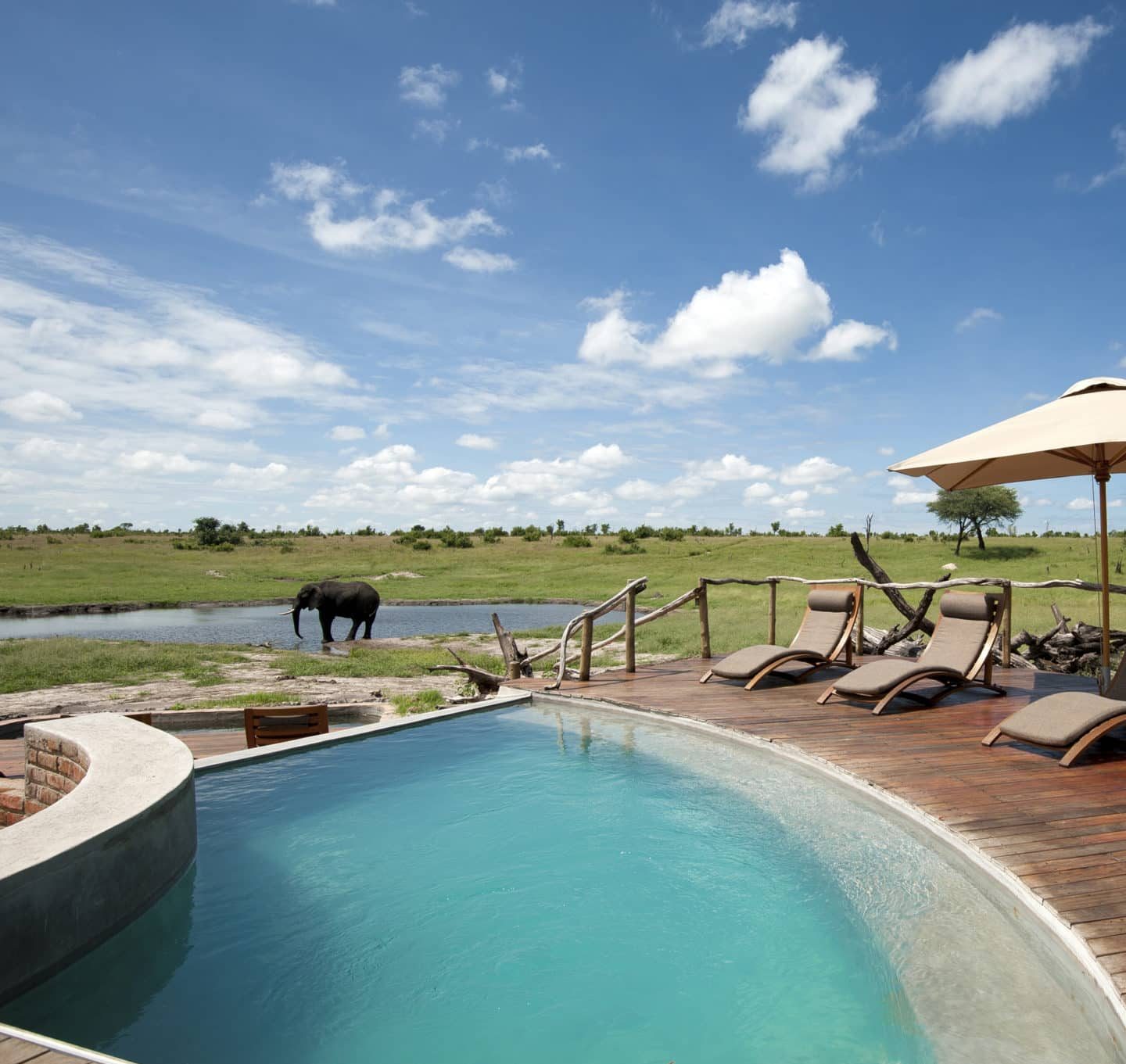 Somalisa Camp Hwange National Park Zimbabwe Luxury Safari Lodge African Bush Camps Pool Area 4