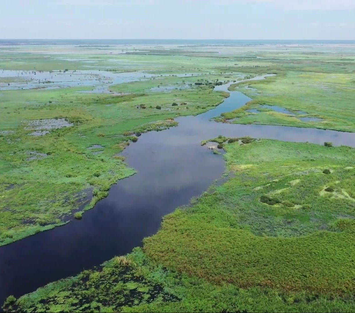 Vue aérienne du Parc National de Chobe Zambezi Queen by Mantis Botswana