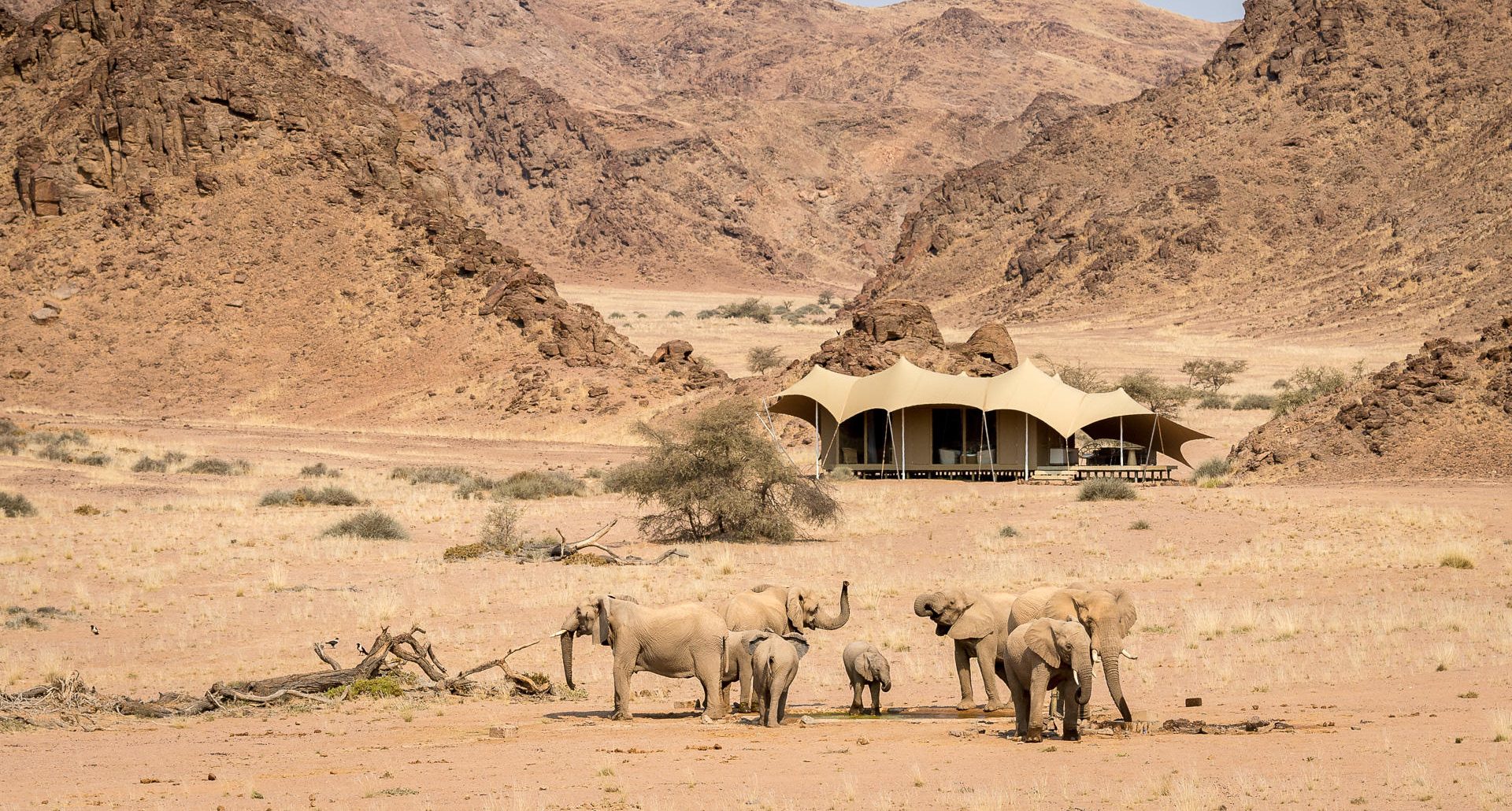 Hoanib Skeleton Coast Camp