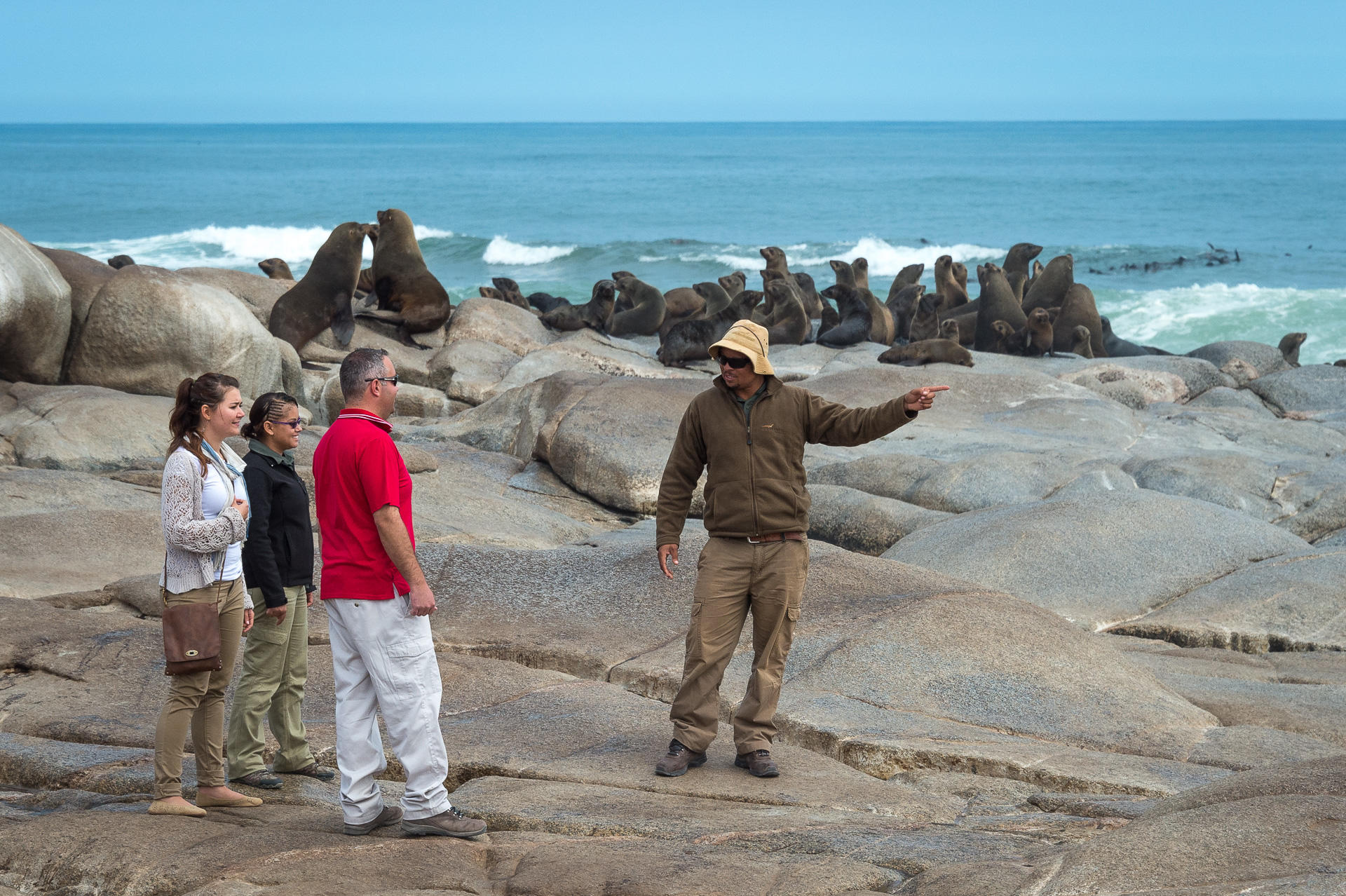 Wilderness Hoanib Skeleton Coast Camp Namibie otarie