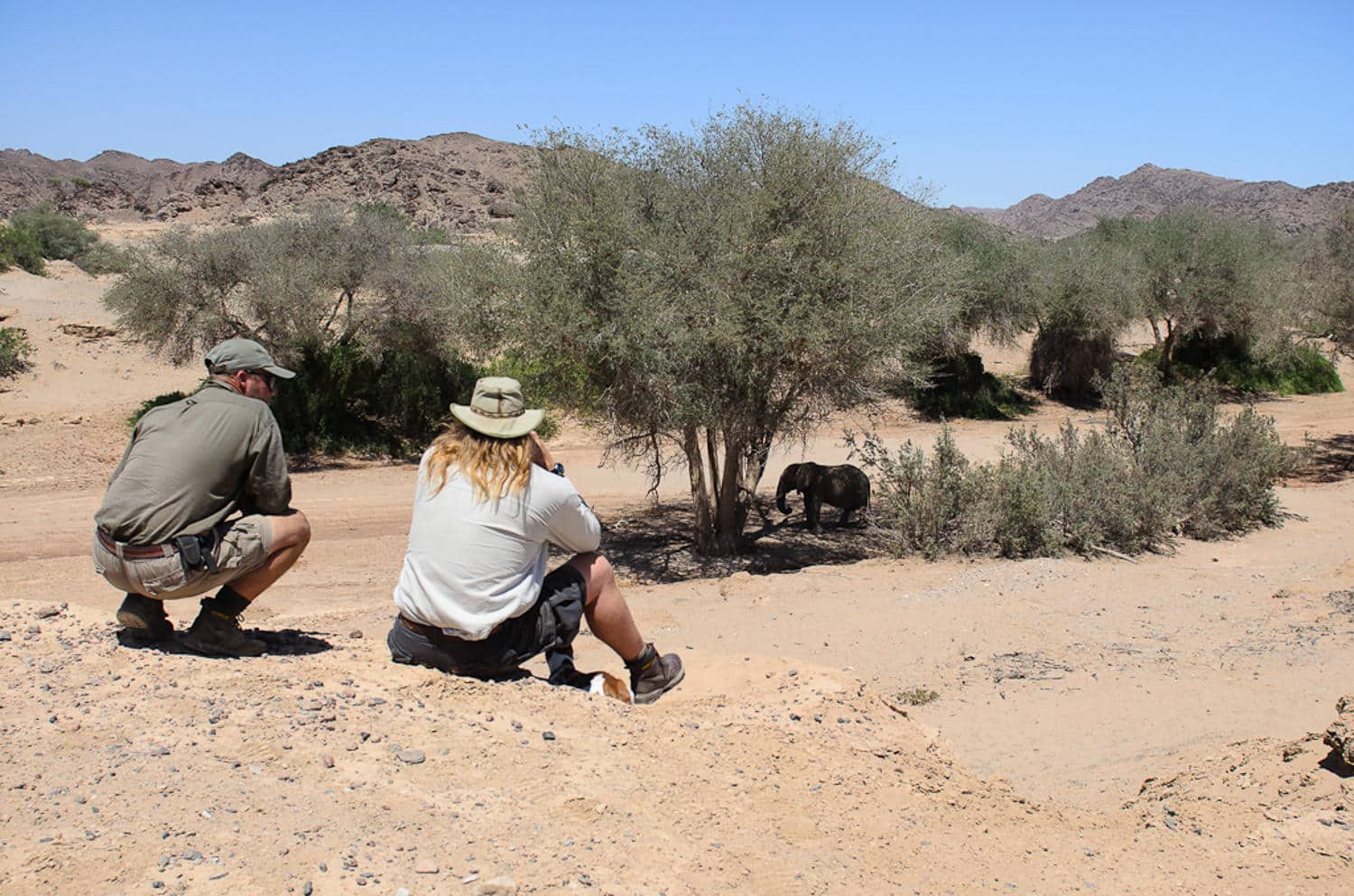 Wilderness Hoanib Skeleton Coast Camp Namibie safari elephant