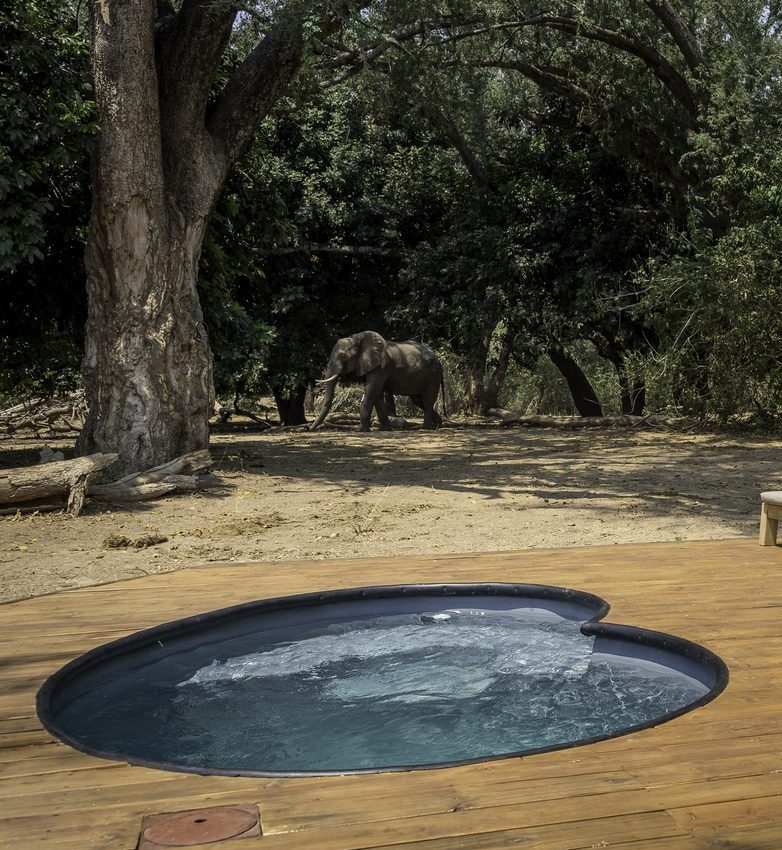 Wilderness Little Ruckomechi Zimbabwe piscine