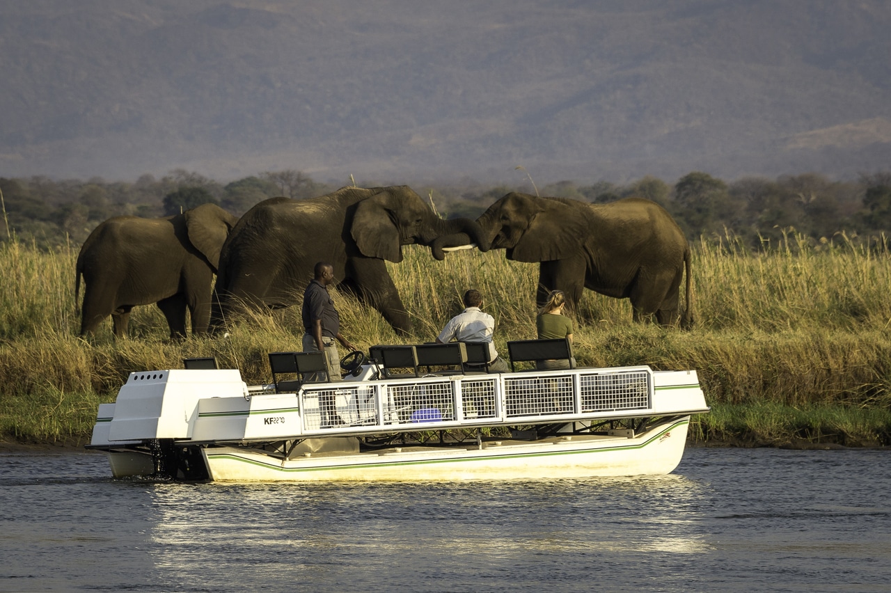 Wilderness Little Ruckomechi Zimbabwe safari bateau