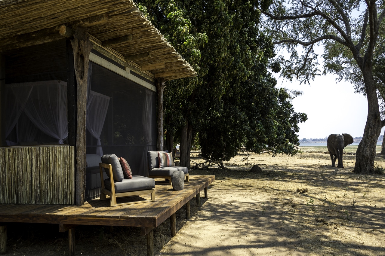 Wilderness Little Ruckomechi Zimbabwe terrasse elephant