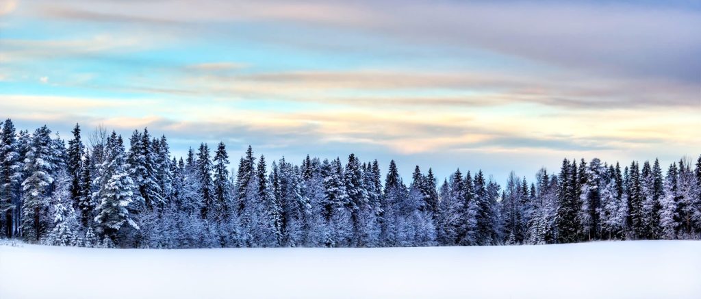 Winter,Scenery,In,The,North,Of,Sweden
