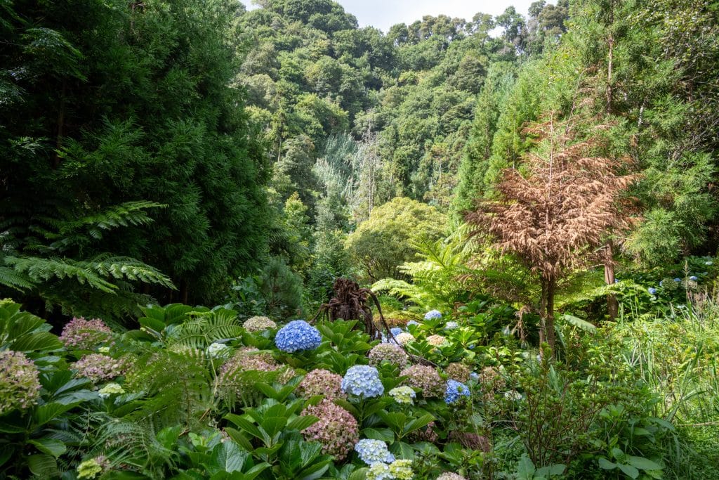 Vegetation,Near,Waterfall,Of,Porto,Formoso,Located,On,The,North