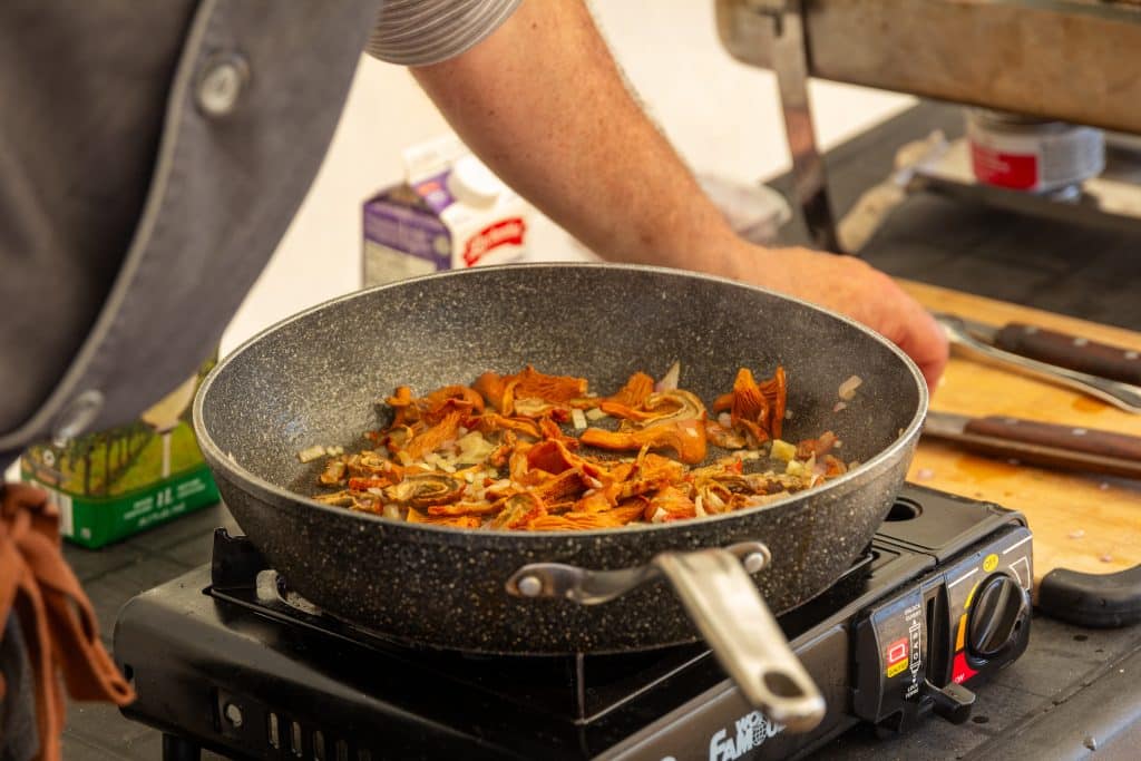 Envolée gastronomique dans l’Est canadien champignons récolte bois Canada