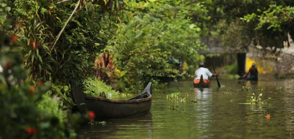 Activité backwaters SPICE COAST CRUISES Inde du Sud