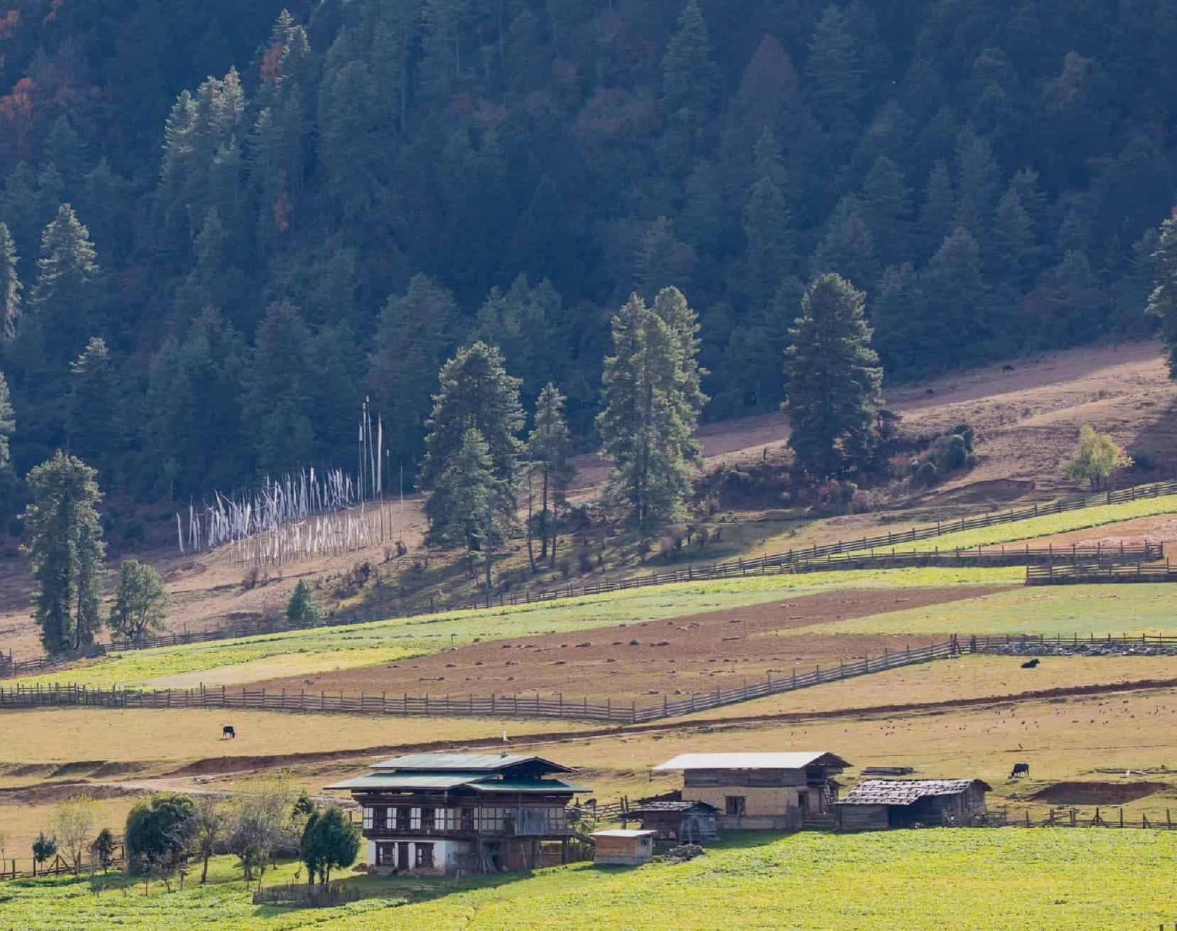 Activité ferme Gangtey Lodge Bhoutan