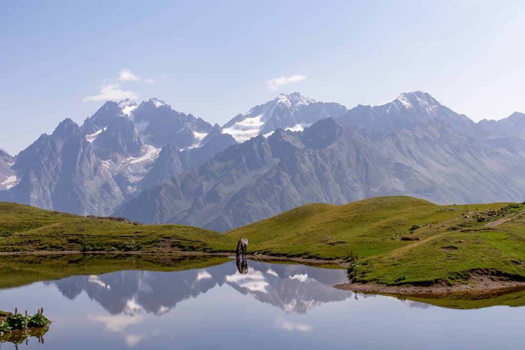 A,Horse,Grazing,At,The,Koruldi,Lake,With,A,Dream