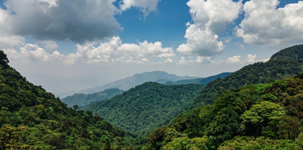 Park,Of,La,Tigra,Honduras