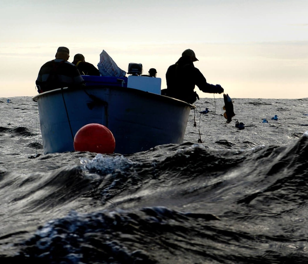 Fogo Island Inn sortie pêche en mer Canada