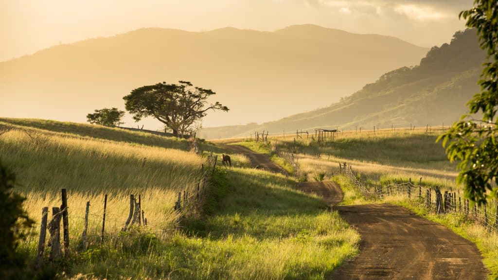 Beautiful,Countryside,Of,New,Caledonia