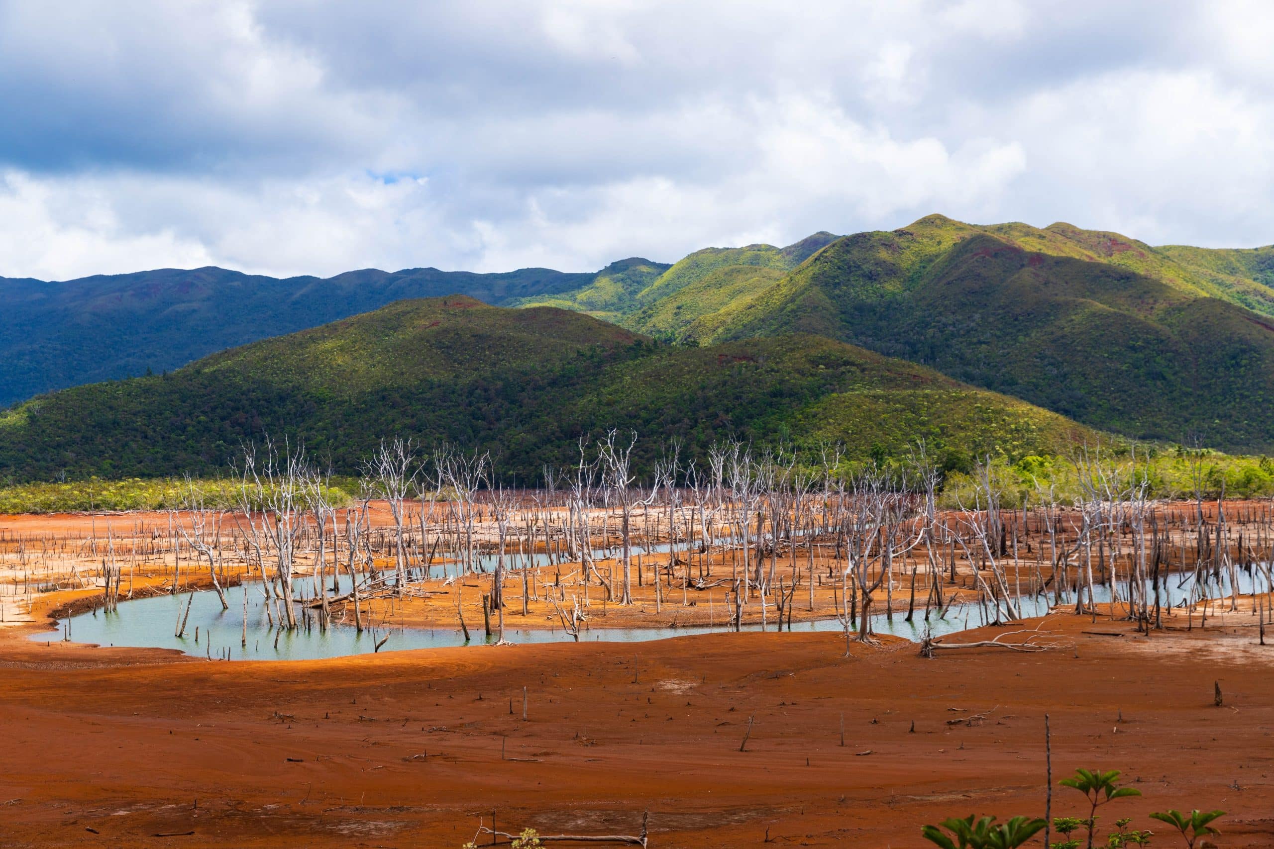 Immersion dans la tribu Ouipoin