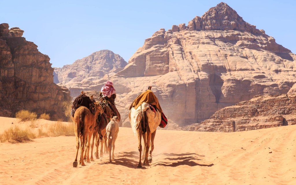Caravan,Of,Camels,Walking,In,The,Wadi,Rum,Desert,In