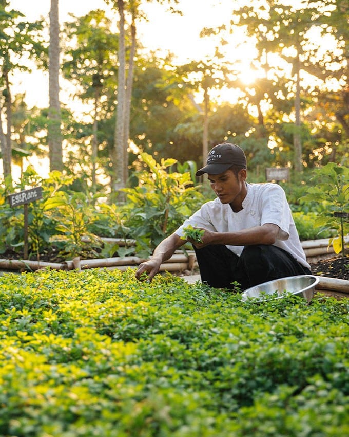 Nihi Sumba Indonésie et Bali potager