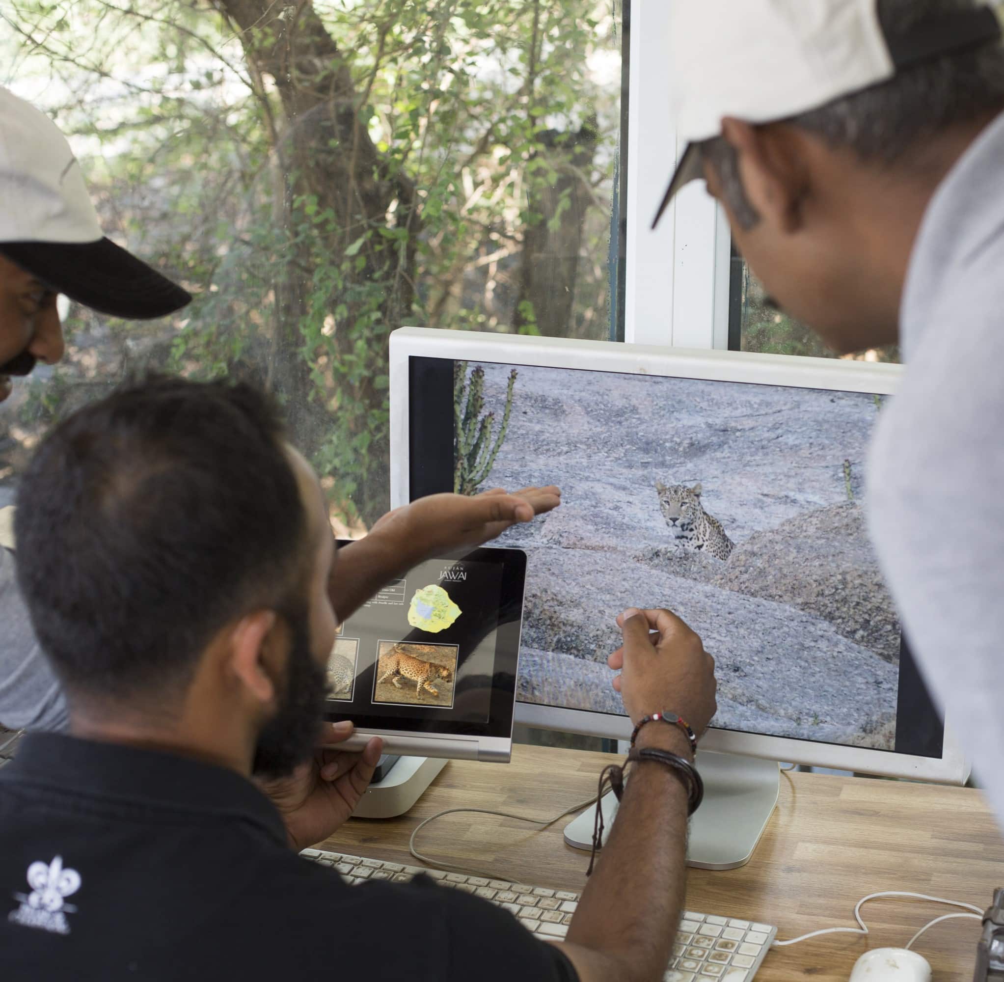 Observation faune Sujan Jawai Inde du Nord