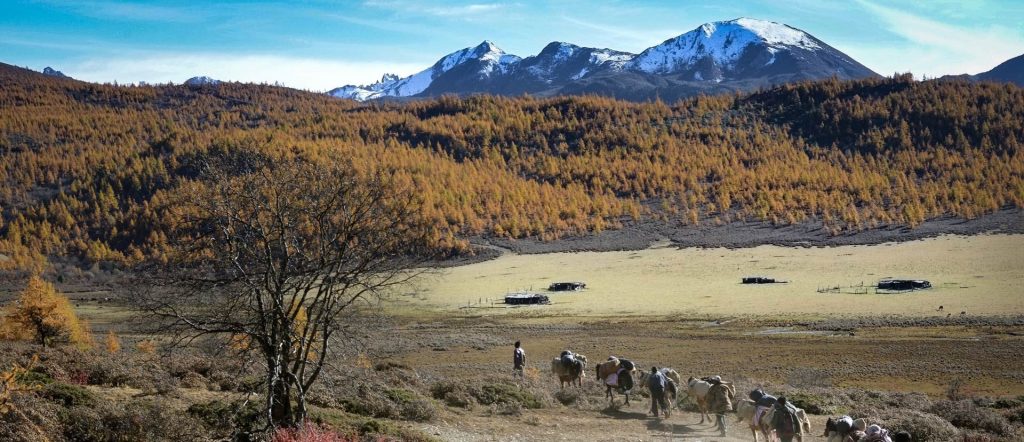Sur les traces de la mission Liotard Chine expédition terresstre avec chevaux