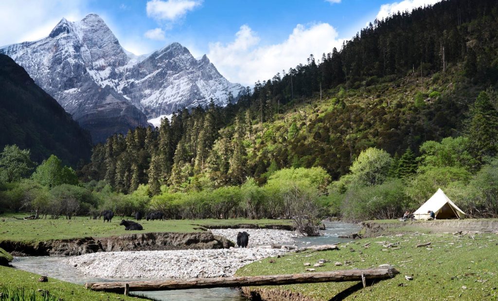 Sur les traces de la mission Liotard Chine tente, yacks et montagne