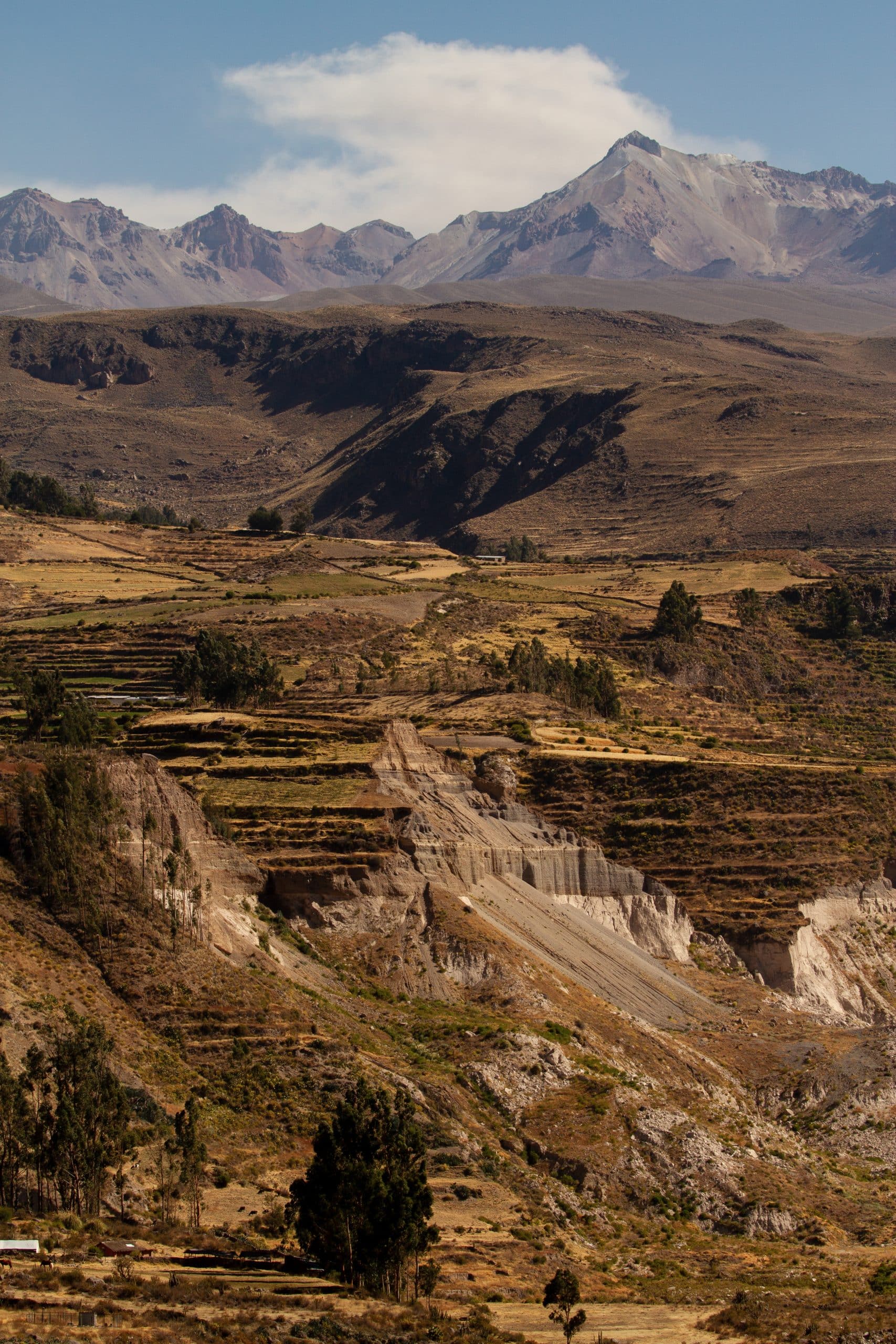 PUQIO Perou terrasses agricoles canyon de Colca