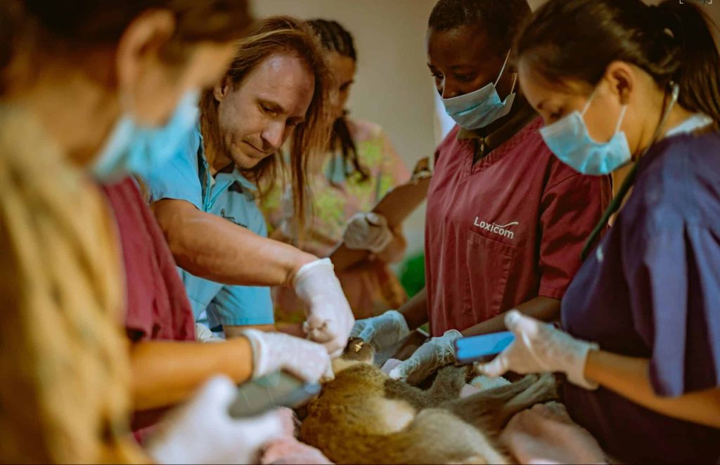 opération de rescousse Lilongwe Wildlife Center Mozambique