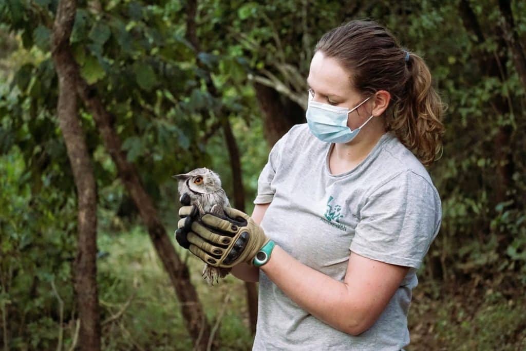 sauvetage chouette Lilongwe Wildlife Center Mozambique