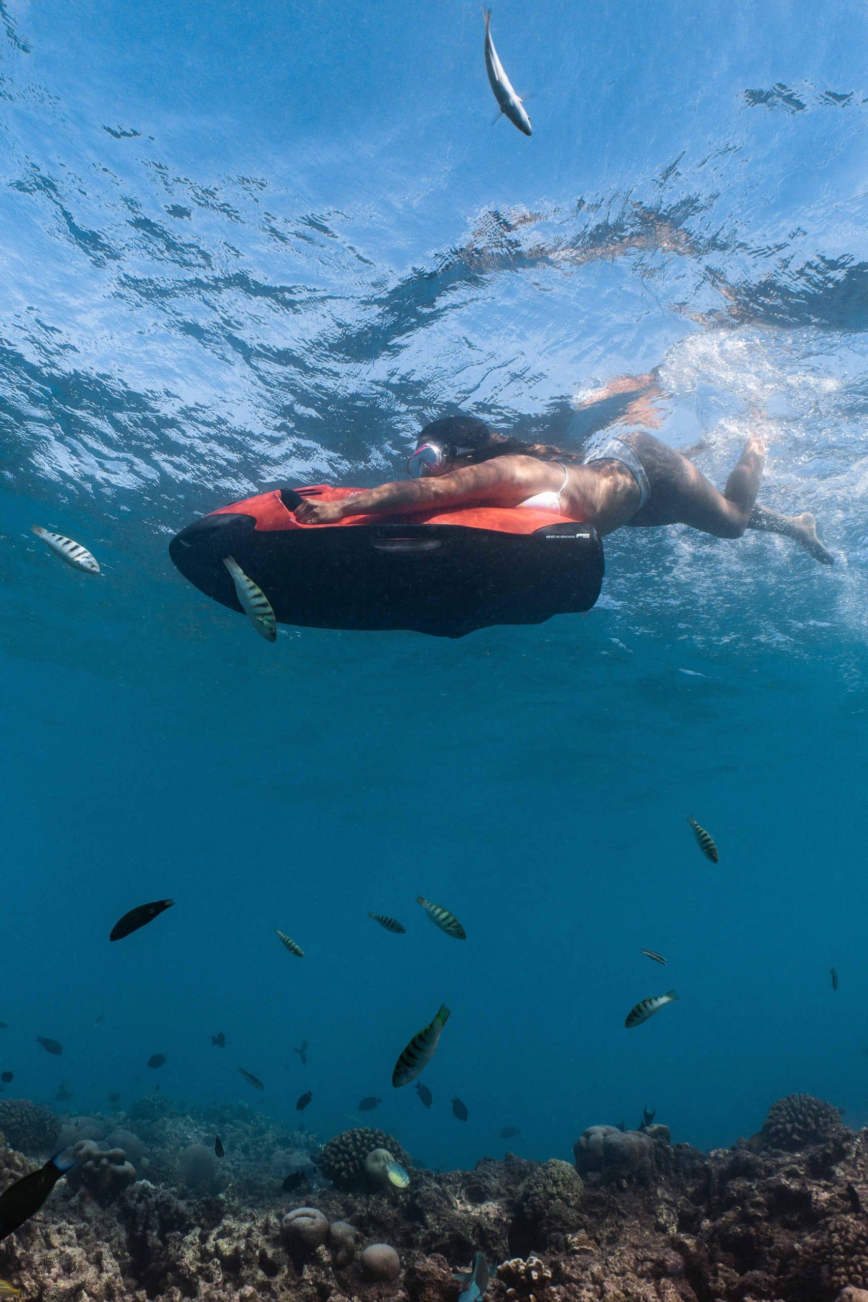 Finolhu Baa Atoll Maldives activité seabob
