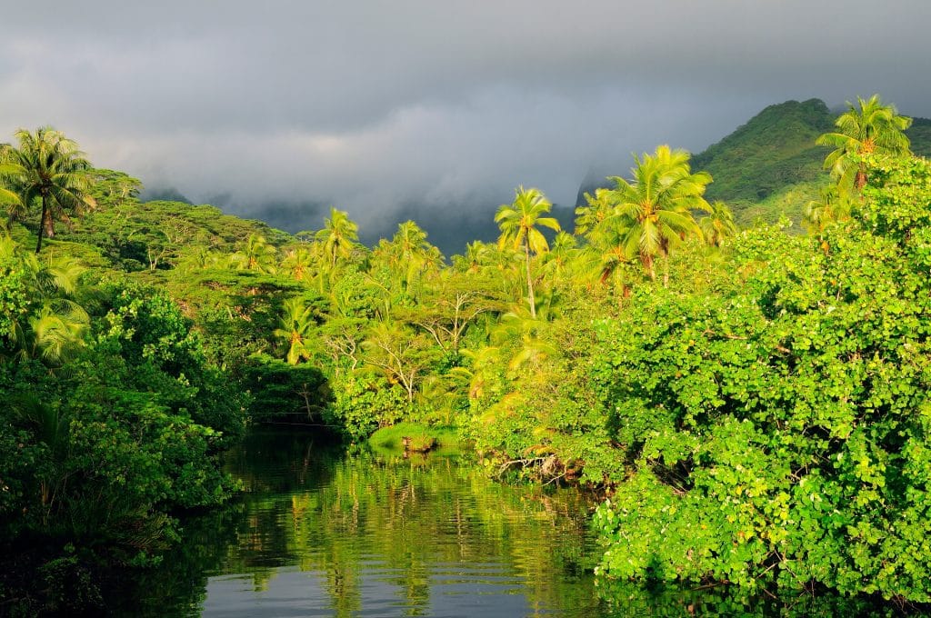 Mount,Tefatua,And,Tropical,Rainforest,,Raiatea,,French,Polynesia,,South,Pacific
