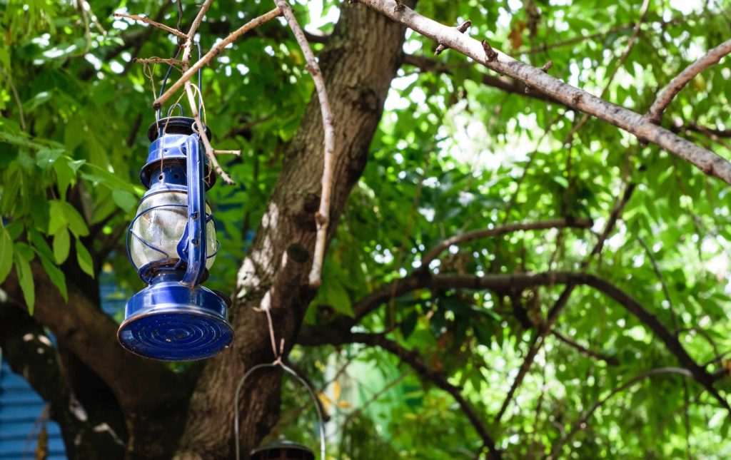 Old,And,Antique,Kerosene,Lamp,On,A,Tree,Background,In