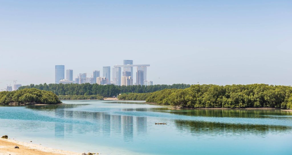 Dans la mangrove Abu Dhabi avec la ville en fonds
